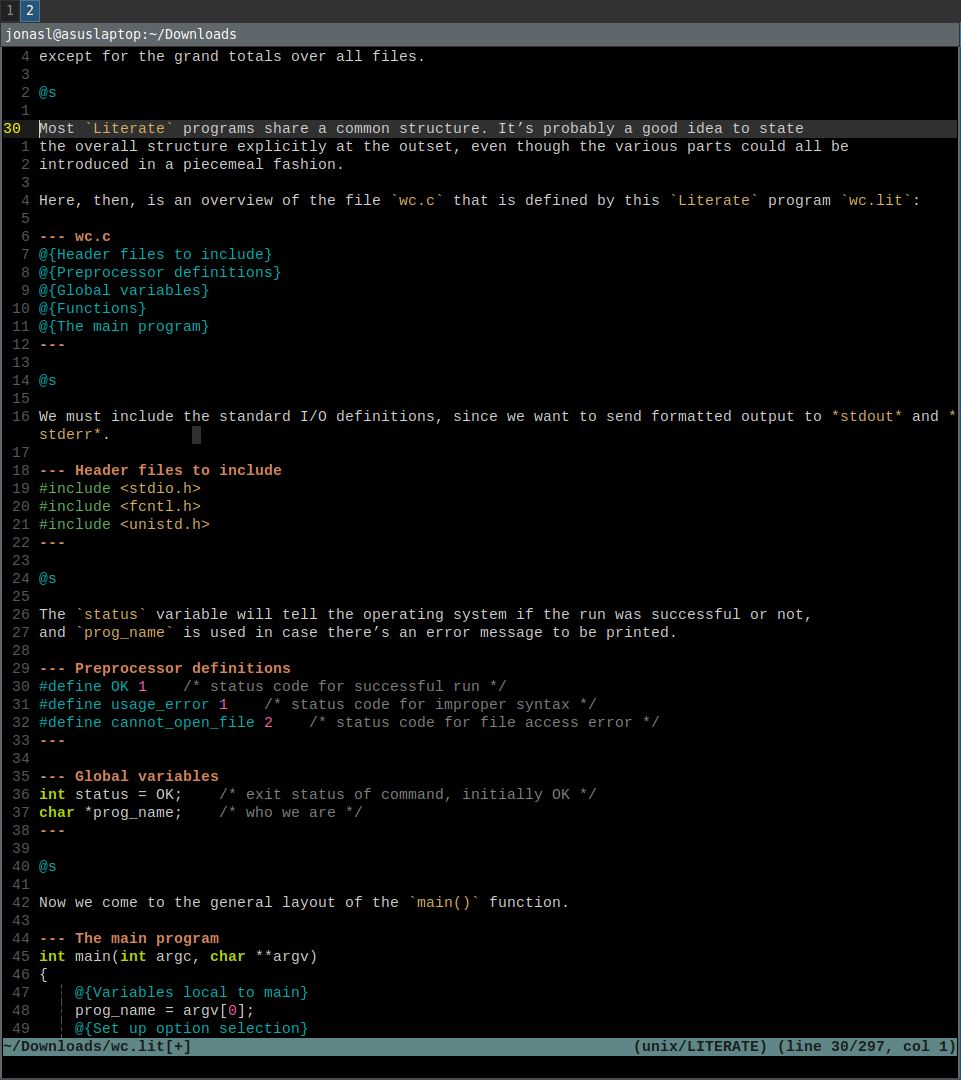 Word count program displaying in vim